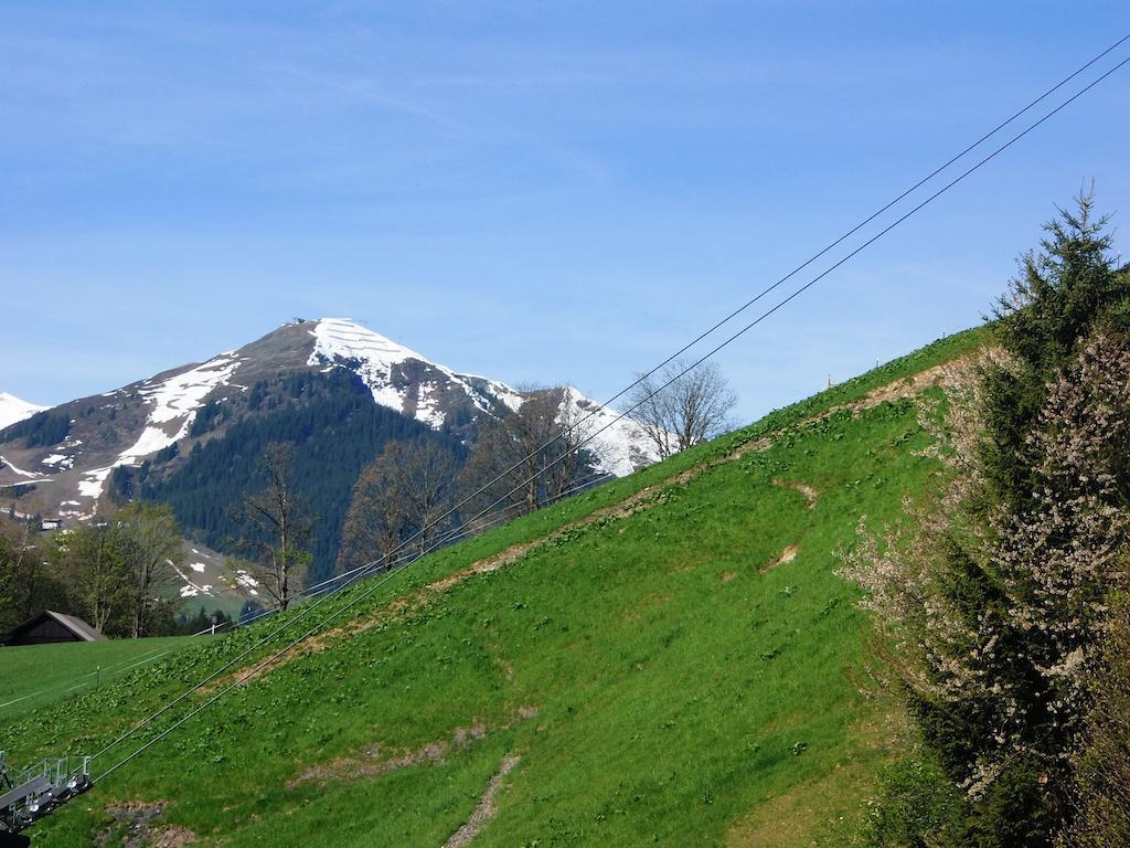 Haus Bergheim Appartement Saalbach-Hinterglemm